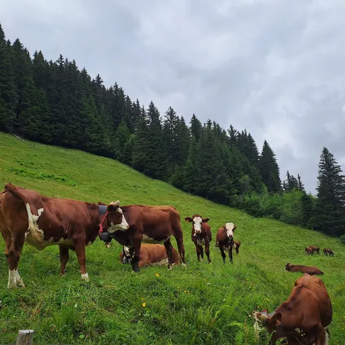 Jour 2 Les Contamines – Les Chapieux_tmb2