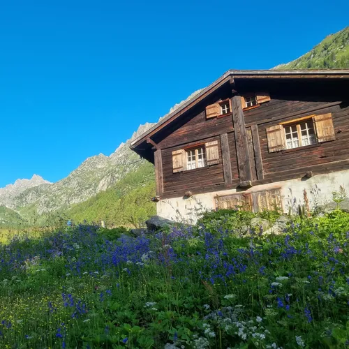 La Fouly - Champex (Val d'Arpette)_tour_du_mont_blanc