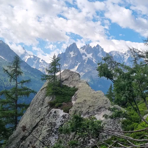 Mont Blanc et l'Aiguille Verte_tmb